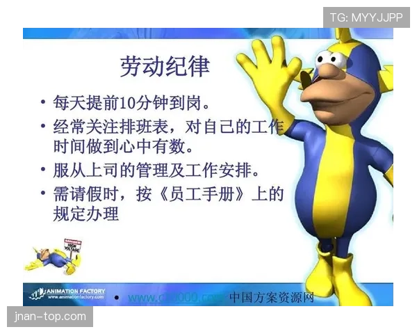 裁判报告须载哪些要素及对纪律判罚的作用解析